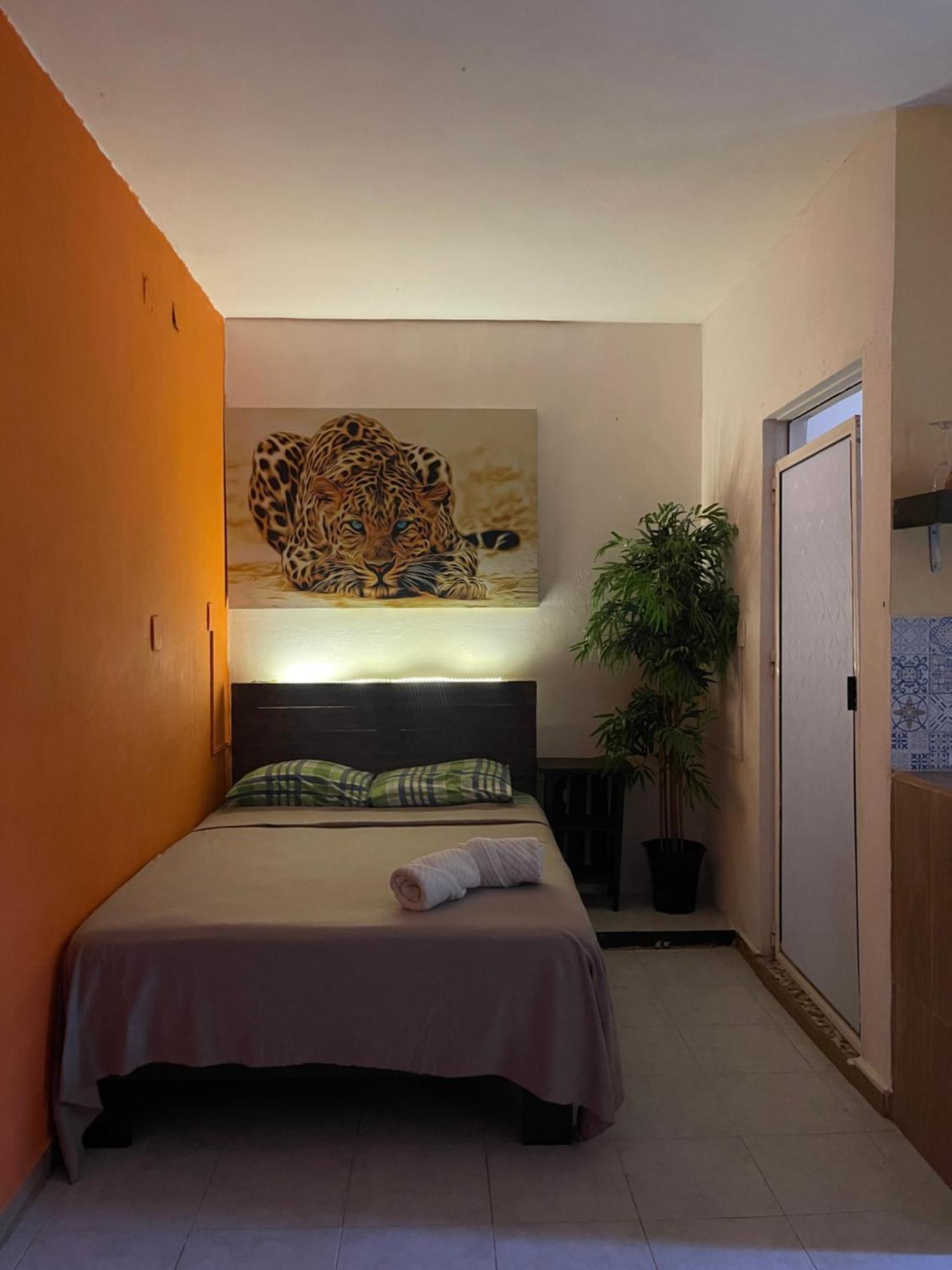 Apartament Casa Mar Playa del Carmen Zewnętrze zdjęcie